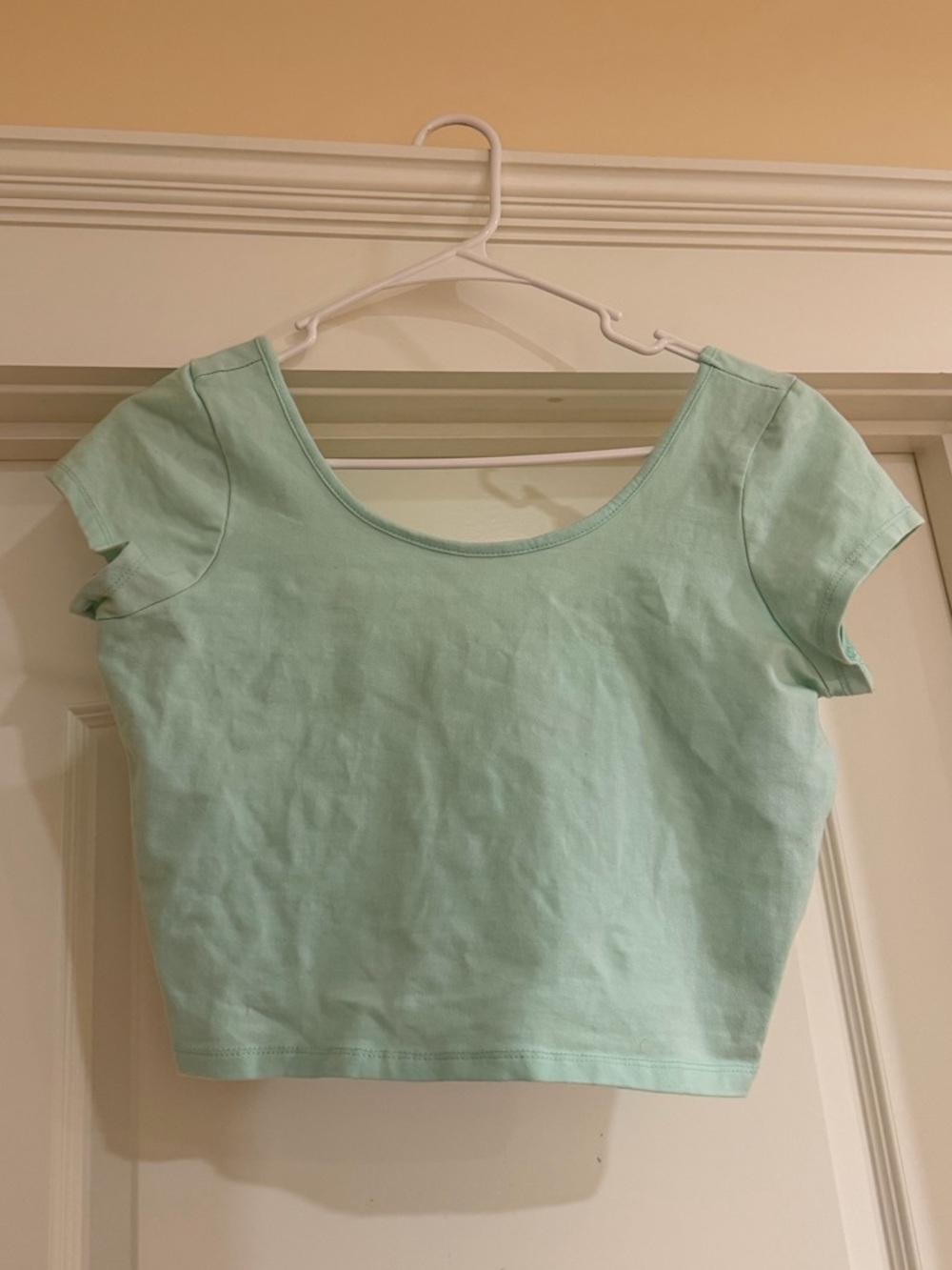 Tobi Mint Green Women's Scoop Neck Crop Top
